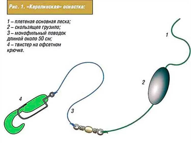 Успешные приемы для привлечения хищника