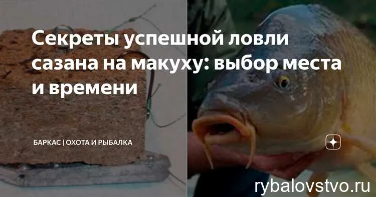 Выбор места для удачной рыбалки