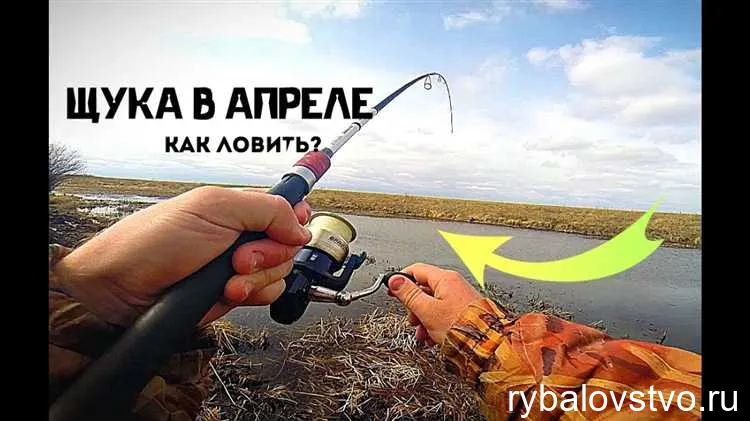 Техники ловли щуки с берега и на лодке