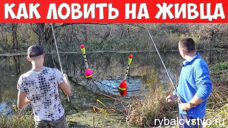 Выбор удочки и катушки