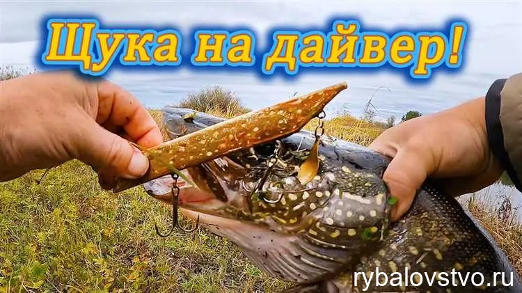 2. Медленная проводка