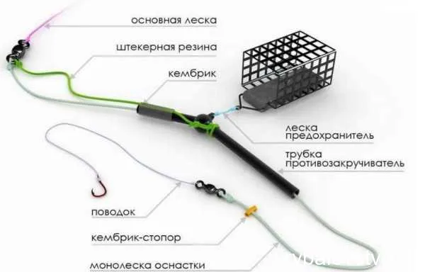 Оптимальный выбор места для рыбалки