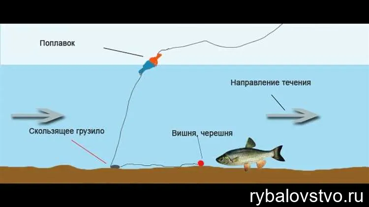 Ловля сома на кость: эффективные способы и секреты успешной рыбалки