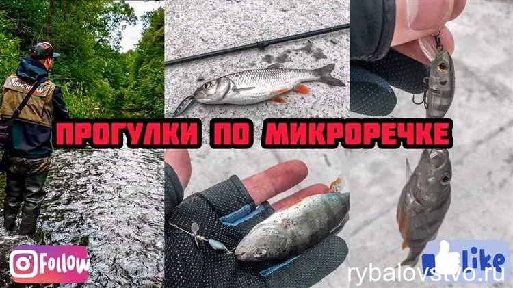 Техника ловли голавля на ультралайт