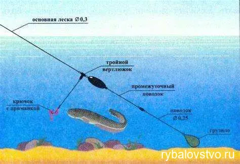 Как выбрать правильное снаряжение для рыбной ловли