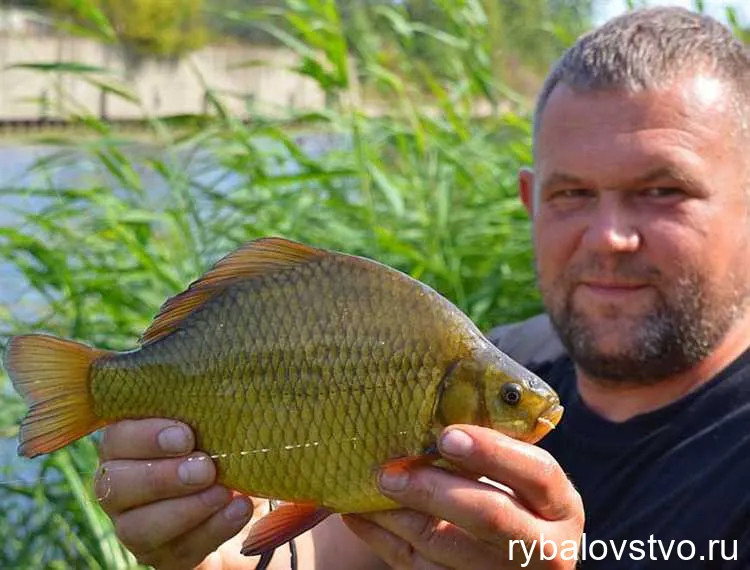 Подробный обзор природных условий водоемов