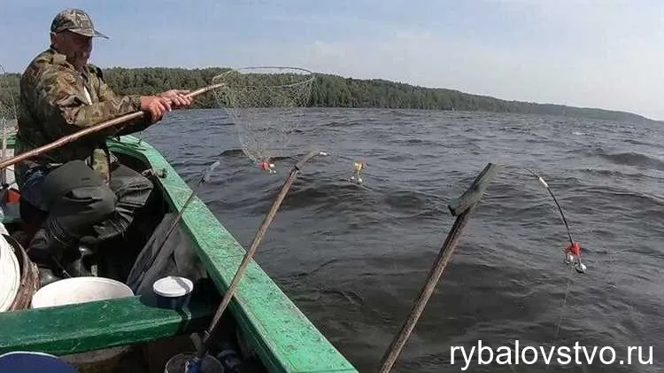 Техника заброса и подсечки