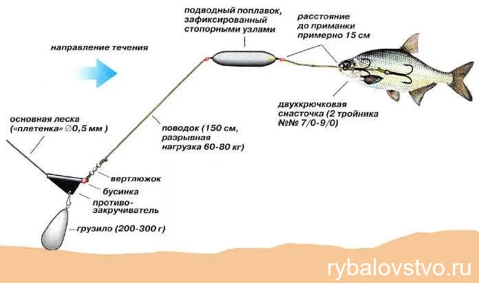 Места обитания и поведение сома