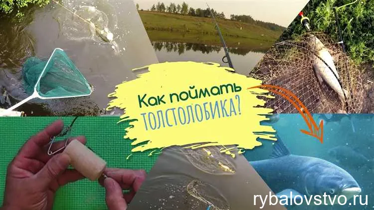 Эффективные методы для ловли толстолобика