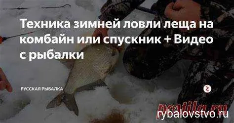 Секреты успешной зимней рыбалки