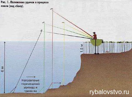 Особенности поведения густеры зимой