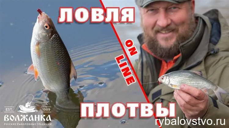 Техника ловли плотвы на мормышку