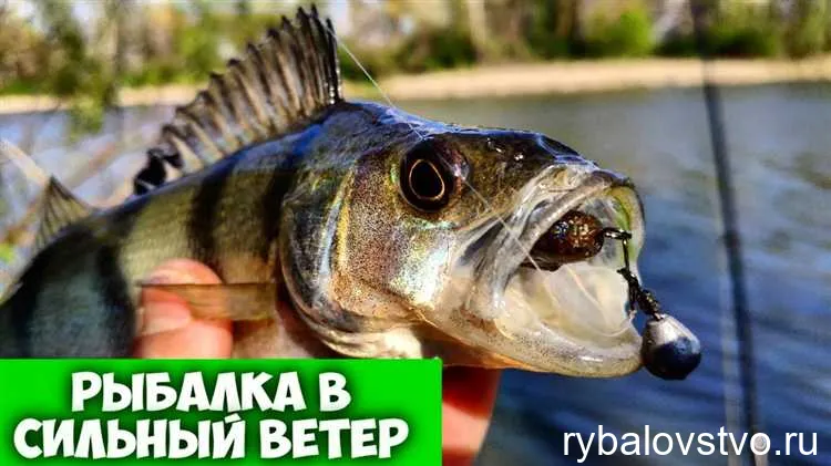 Удочка и леска