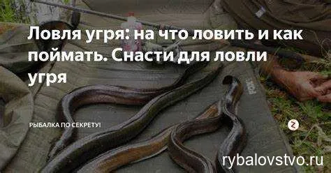 Секреты успешной ловли головли на нахлыст