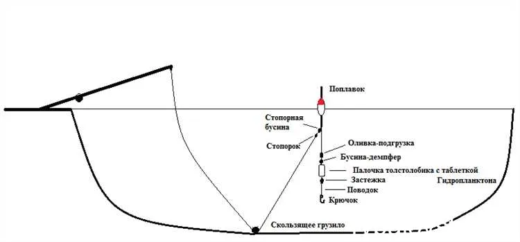 Как выбрать правильное оборудование для ловли толстолобика