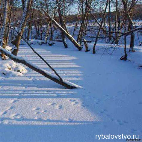 Техники ловли хариуса зимой на спиннинг