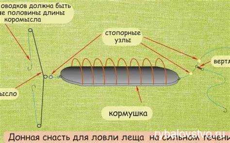 Как успешно ловить леща на донку: секреты и советы