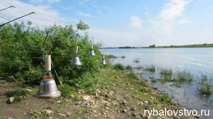 Выбор места для ловли