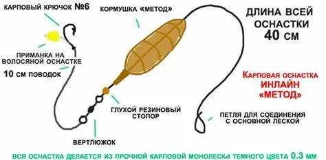 Выбор правильного снаряжения и приманок