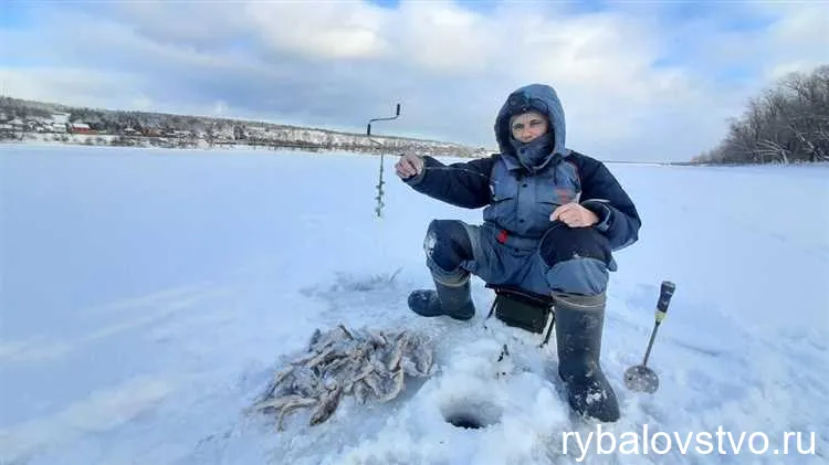 Подбор приманки и правильное использование спиннинга