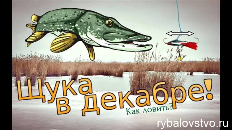 Как выбрать подходящее время для ловли