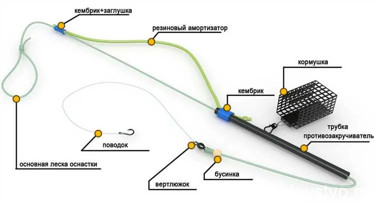 Выбор места и времени для успешного улова