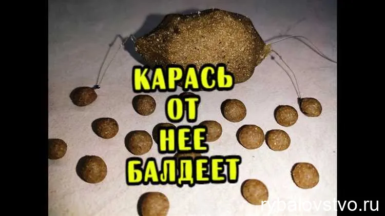 Как выбрать и готовить тесто для ловли карася