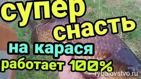 Приманки для окуня: живая или искусственная?