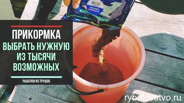 Влияние прикормки на результаты рыбалки