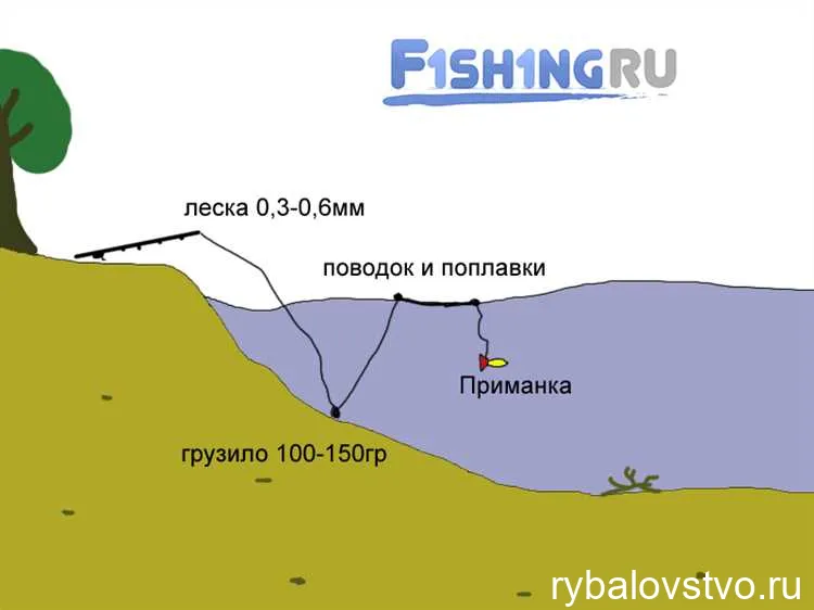 Подробное руководство по выбору квока