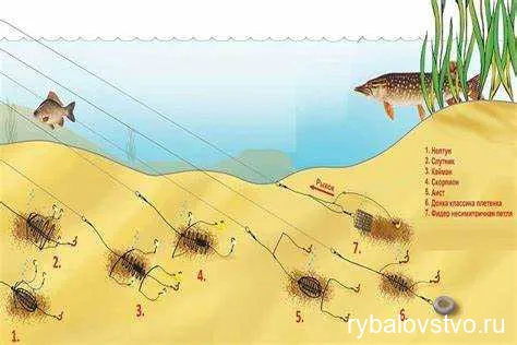 Ловля карася на пенопласт: секреты улова и особенности