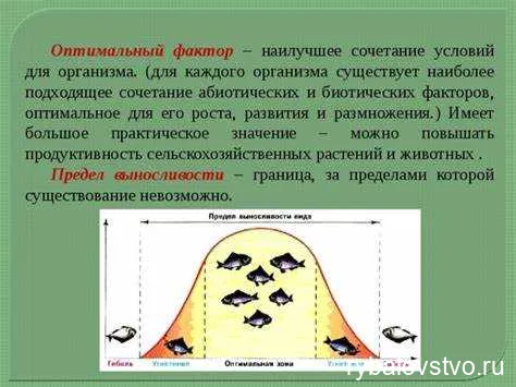 Размер и глубина водоема для карасей