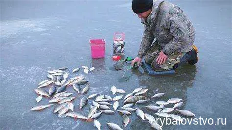 Техники ловли леща на первом льду