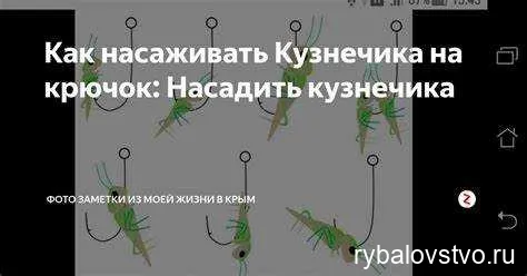 Ловля голавля на кузнечика