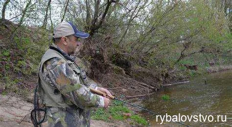 Поведение голавля и его альтернативные приманки