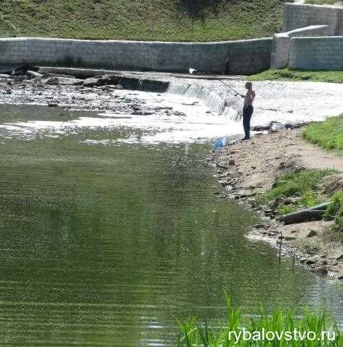 Техника заброса и основные приемы ловли