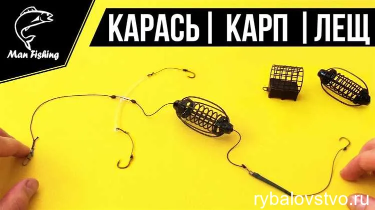 Эффективные методы ловли карася пружиной