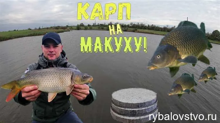 Выбор крючка