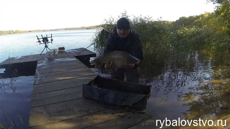 Техники ловли карпа на осеннем водоеме