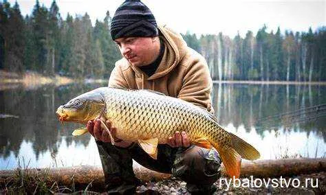 Секреты успешной ловли карпа ранней весной