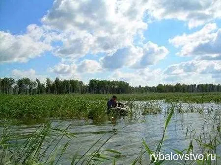 Как избежать запутывания лески