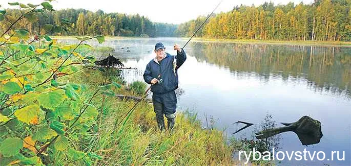 Влияние времени суток на результаты ловли