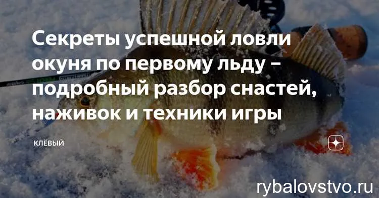 Как привлечь внимание окуня