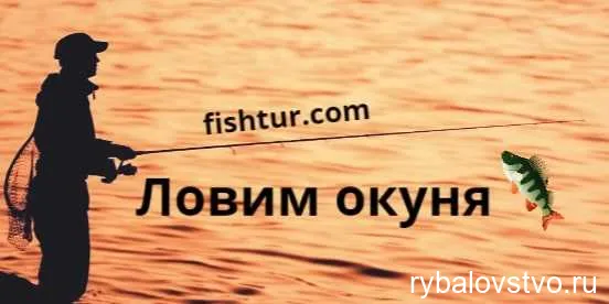 Ловля окуня весной