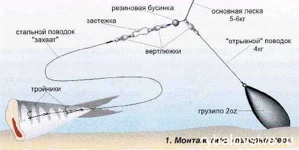 Тайны выбора правильного снаряжения