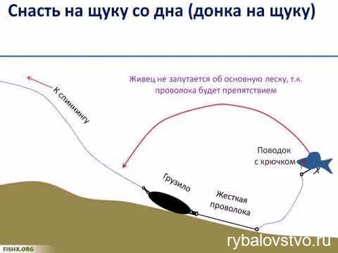 Подготовка к ловле щуки поплавочной удочкой