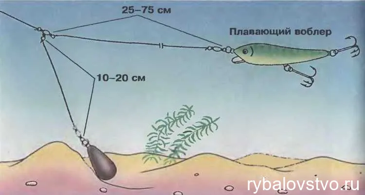 Поведение сома в водоеме