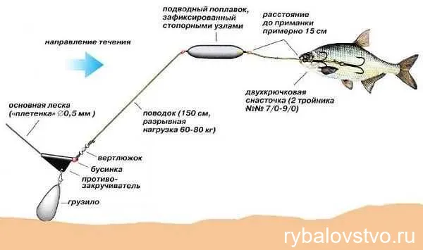 Ловля сома на живца