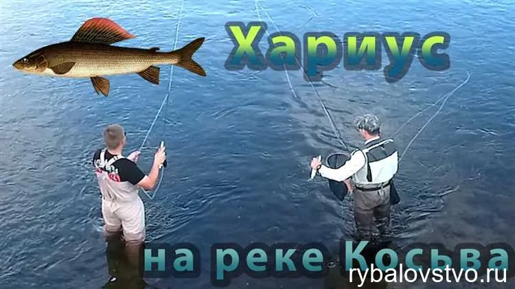 Выбор удочки, лески, мушек и крючков