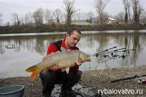 Реки с медленным течением воды